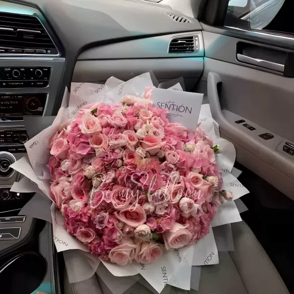 Inspiration x Sention