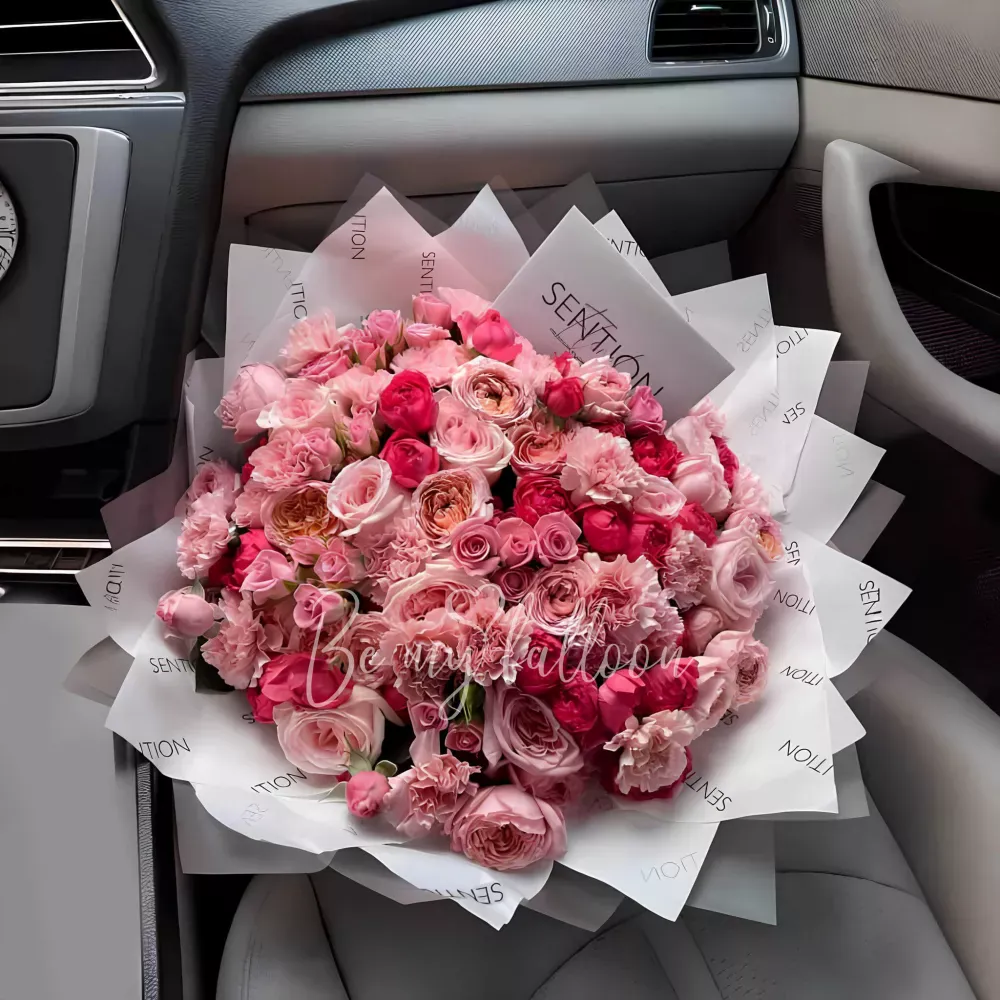 Pink dreams x Sention