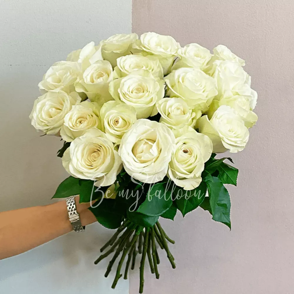 20 White Premium Roses