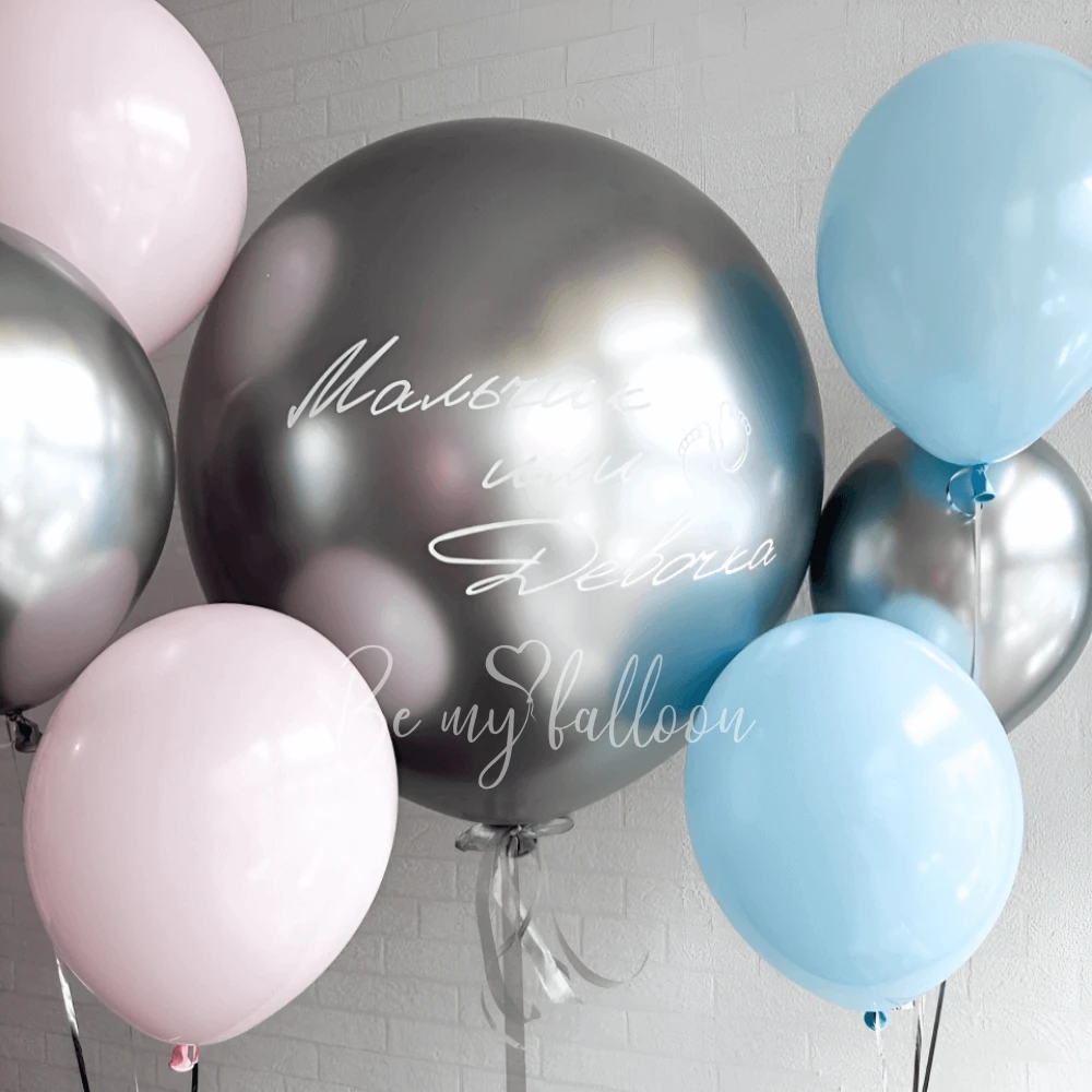Gentle Giant Gender reveal composition