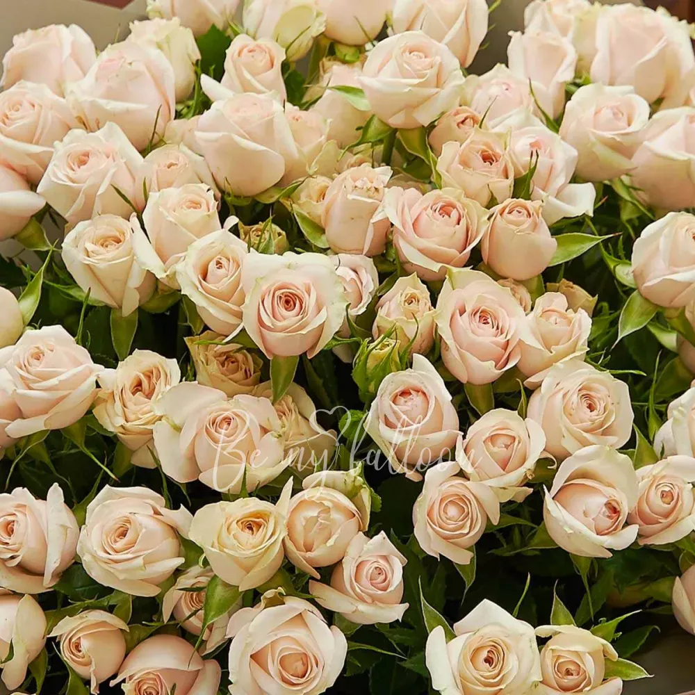 Super Bubbles Hand Tied